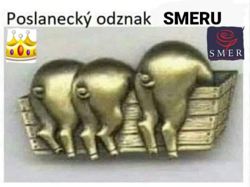 namiesto slovenskej vlajky na saku: