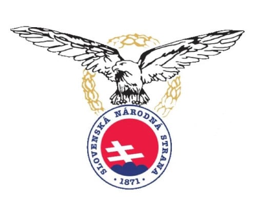 nove logo sNs