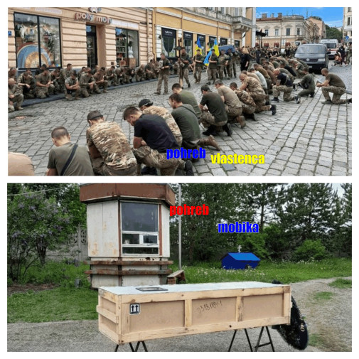 Príspevok 203823