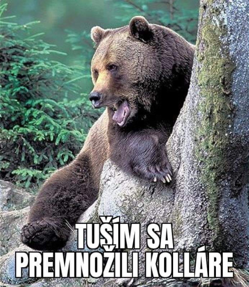 Veselsia spomienka na medveiu temu