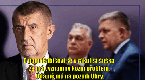 Príspevok 221664