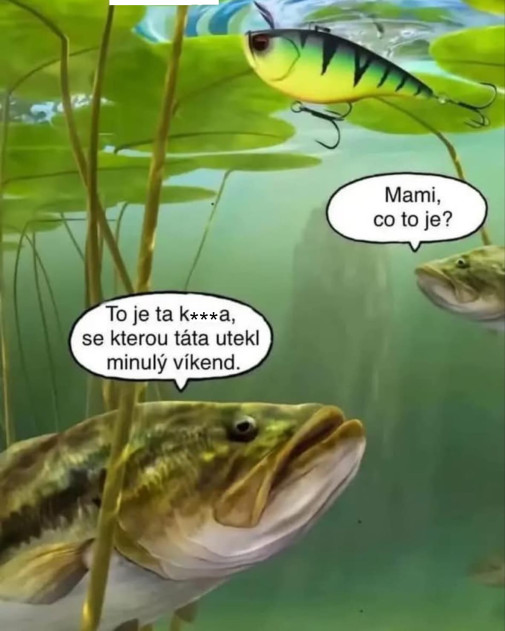 Keď niekto scenzuroval, tak s hviezdičkami