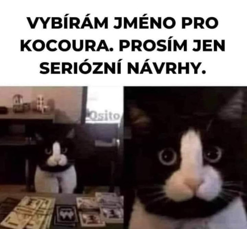 Inzerat: Dajte meno  Kokocurikovi