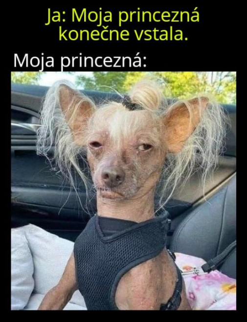 je furt ochrapana