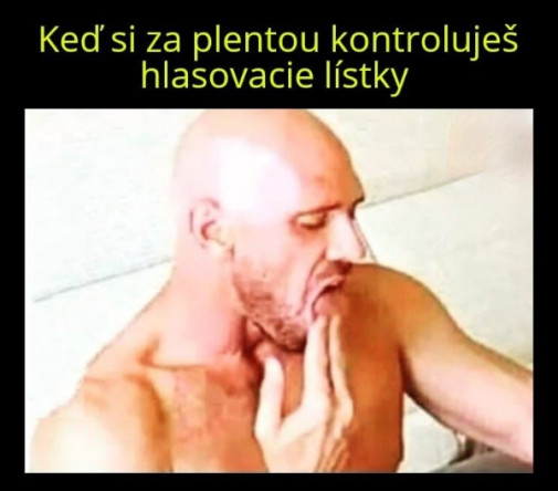 Príspevok 191678