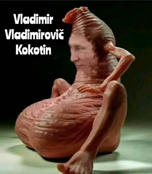 voloda ( a.k.a. vvk)