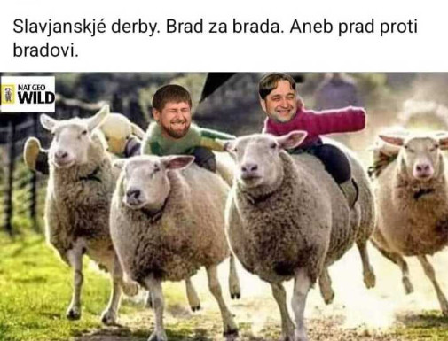 slavjänske derby
