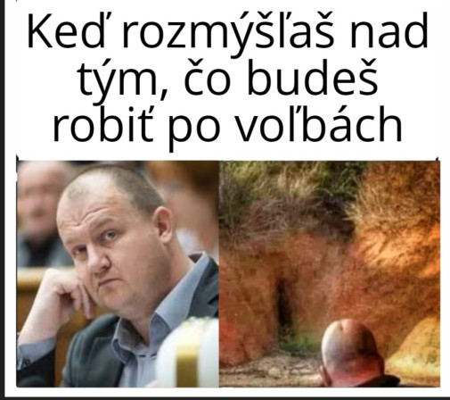 a tato kraslica kandiduje?